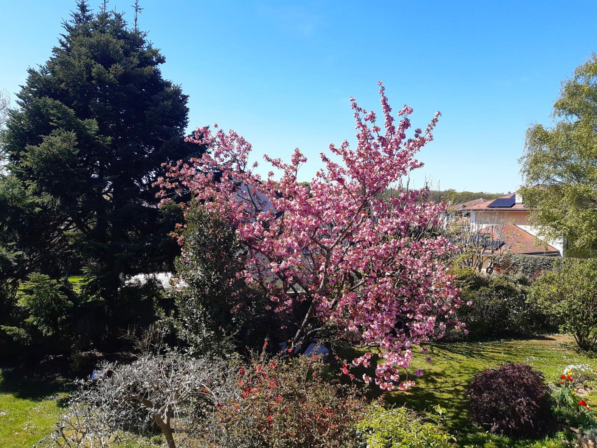 Habitación en casa particular Rest In A Garden *